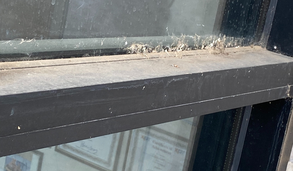 Dirty residential window before professional cleaning service in Phoenix