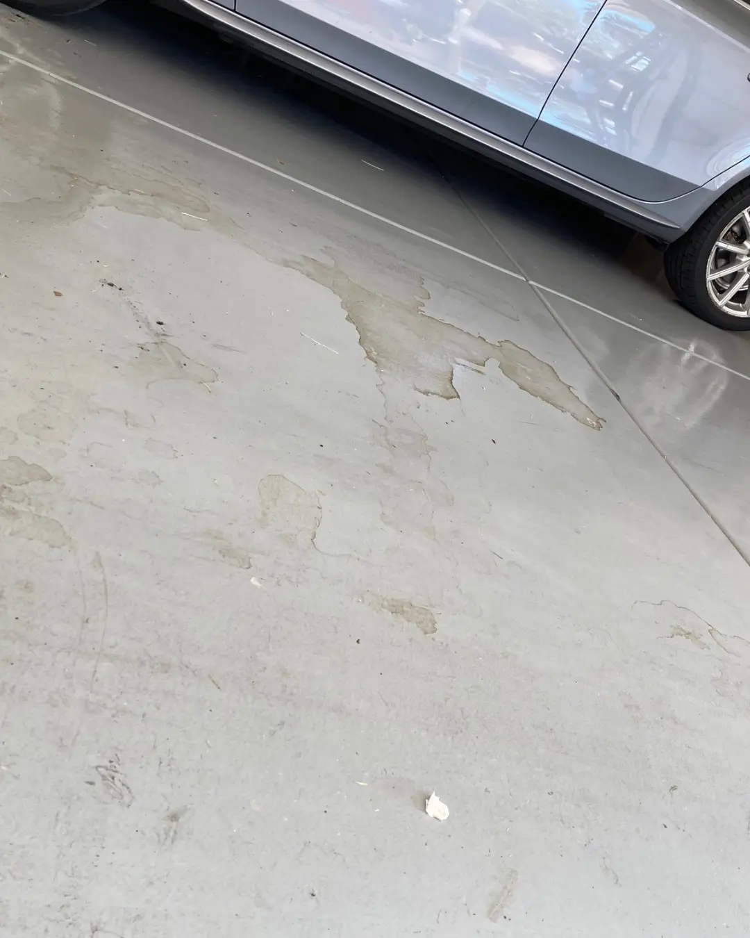 Before Pressure Washing Arcadia Garage