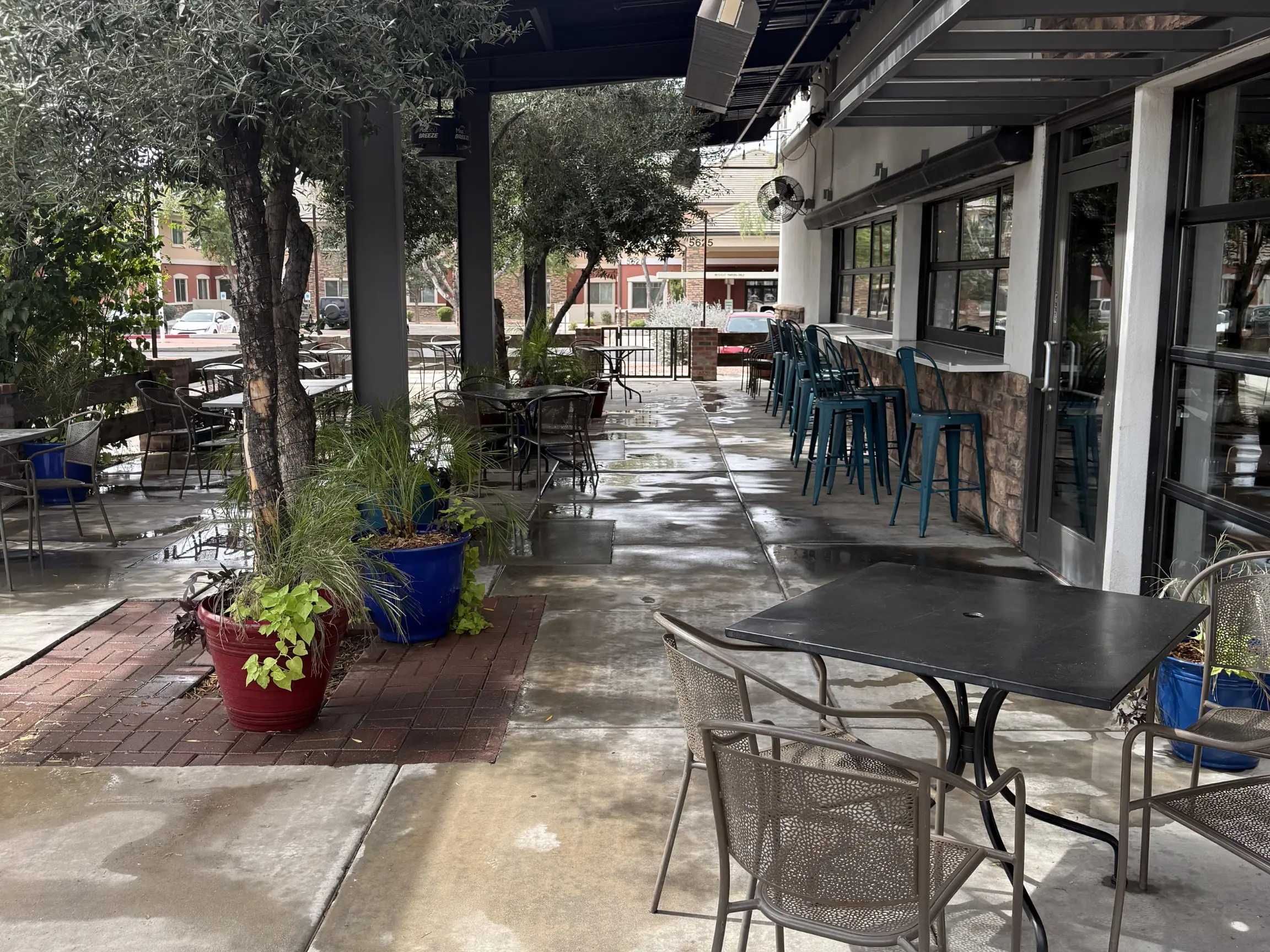 Pita Jungle Downtown Gilbert