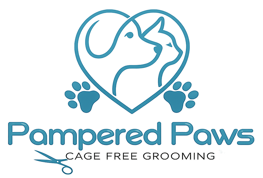 Pampered Paws commercial window cleaning in Tempe Arizona
