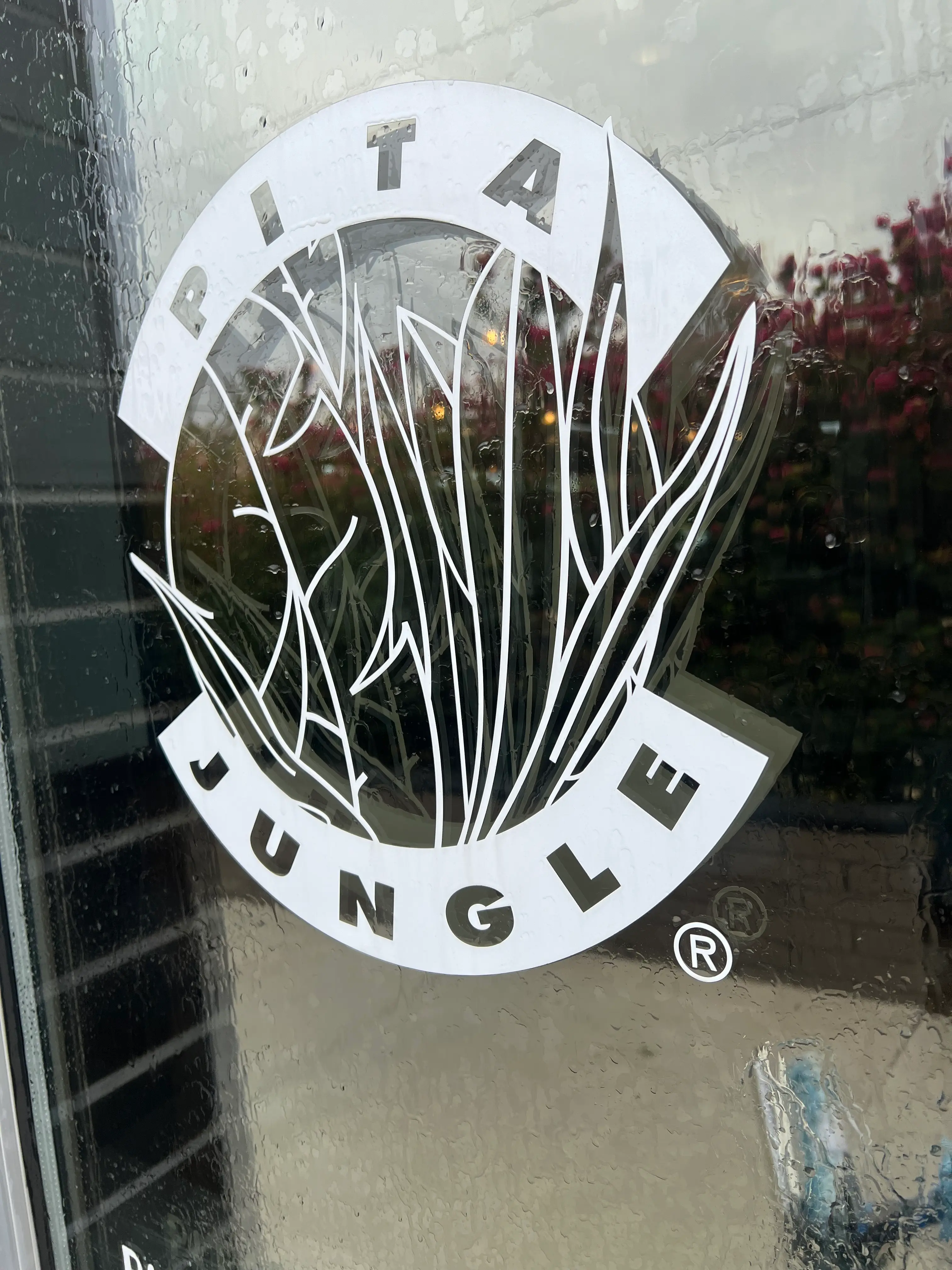 Pita Jungle Chandler Arizona storefront before professional window washing